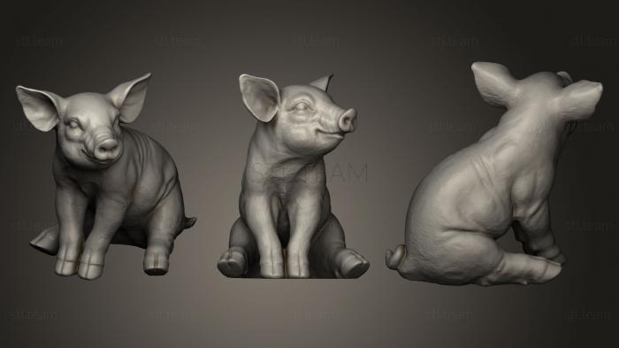 3D model Sitting piglet (STL)